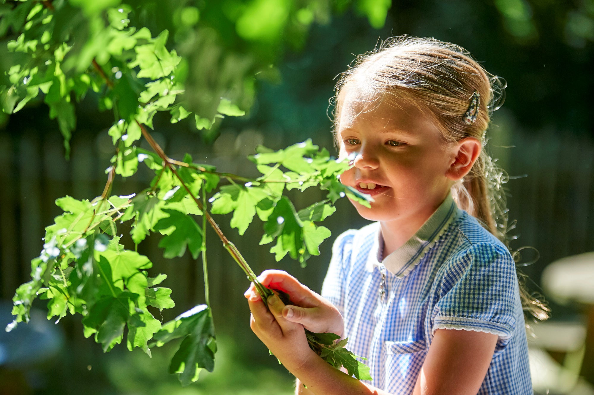 Child in the woodland area looking at leaves